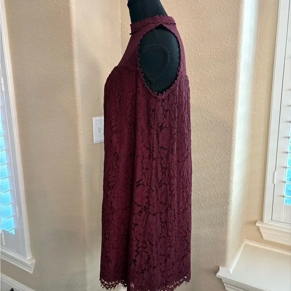 Xhilaration Burgundy Lace Mini Dress - Picture 4 of 7